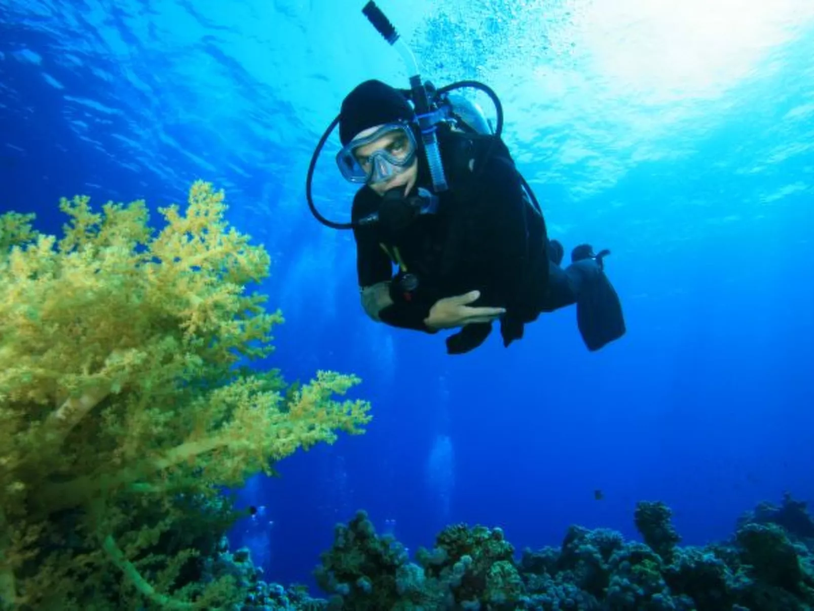 La Ola Beach House - Image-tags.info