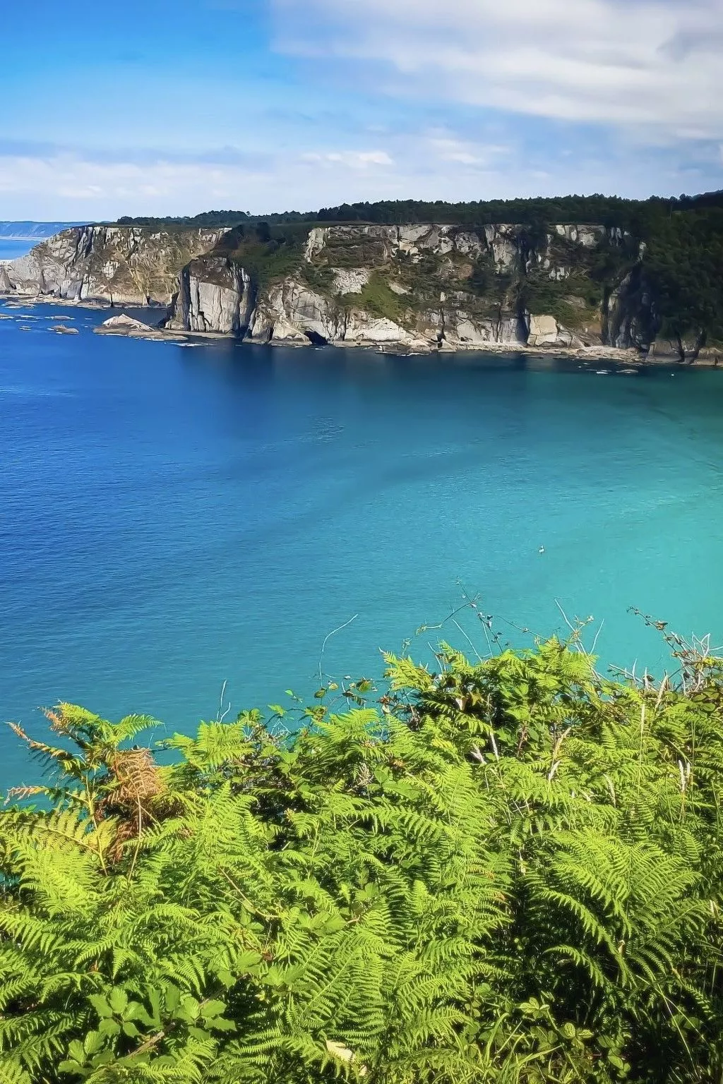 Ländliches Anwesen "Mar y Montaña" (Meer und Berge) - Image-tags.info