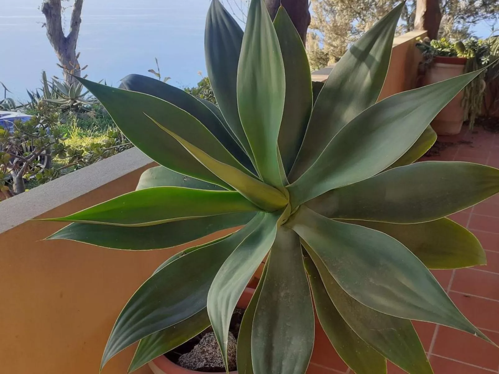 Villa Panorama Wohnung in privater Villa - Dehors