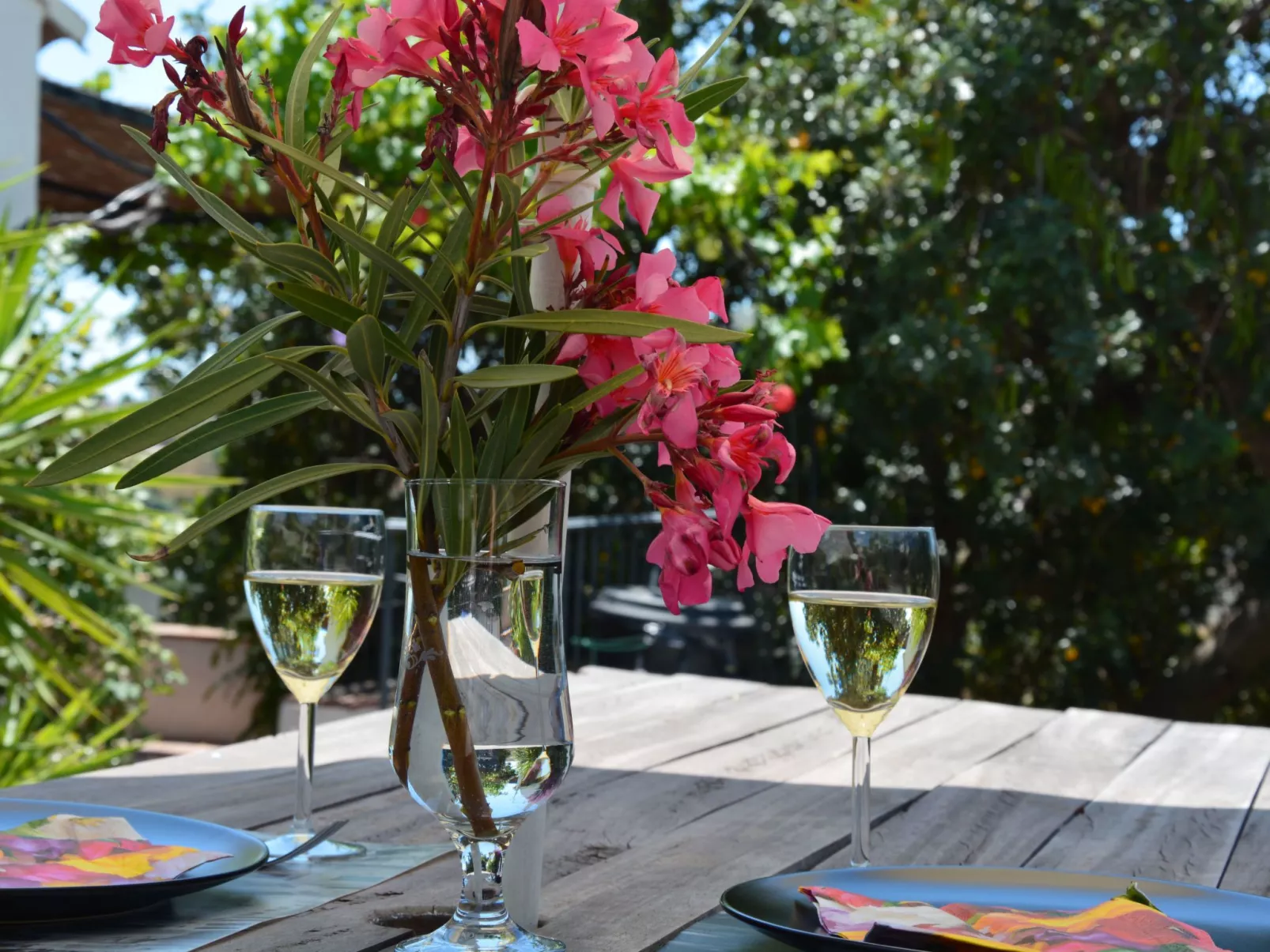 Finca "La Estrella de Cómpeta". - Dehors