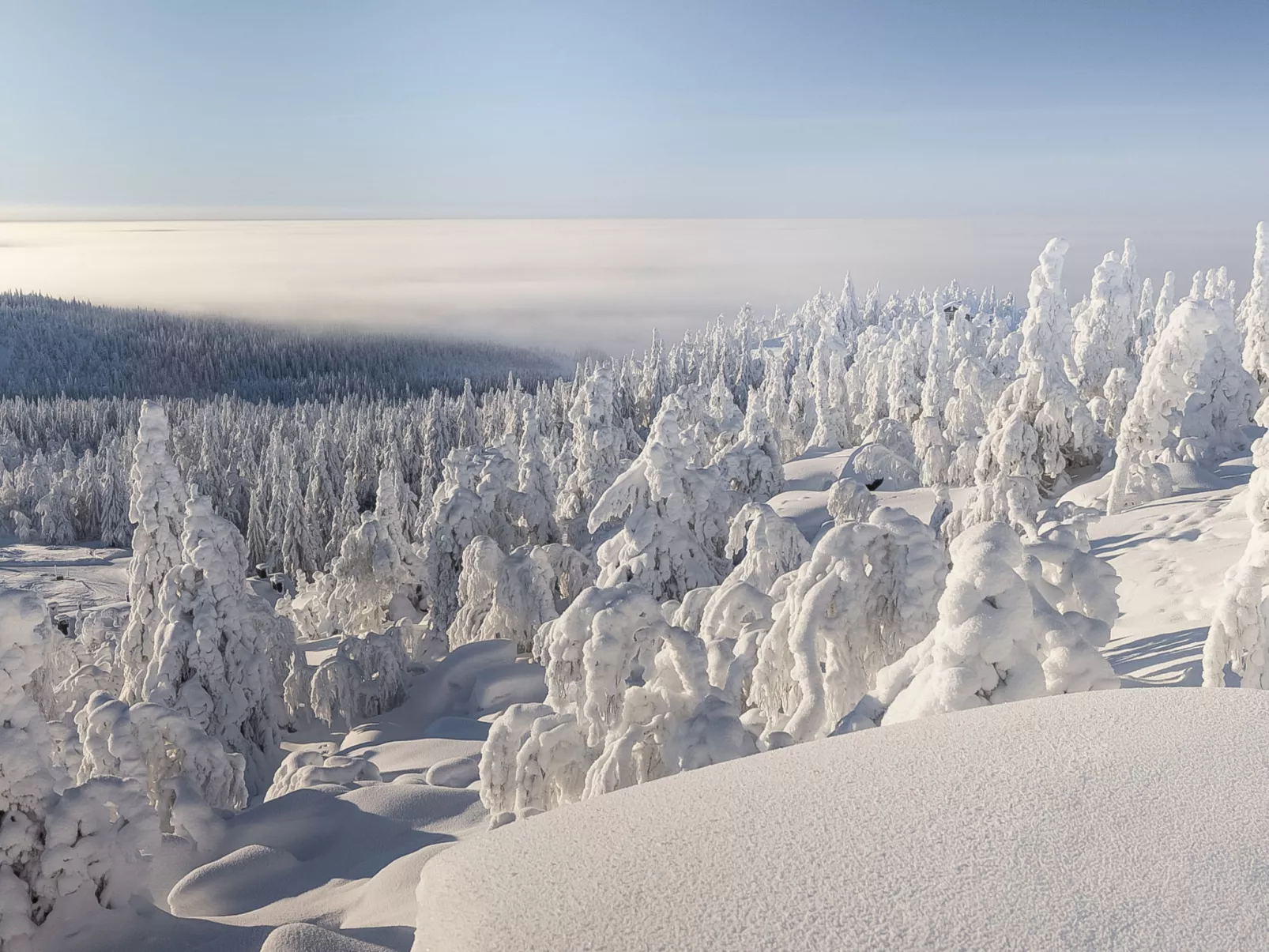 Loma-saaga 3 - Dedans