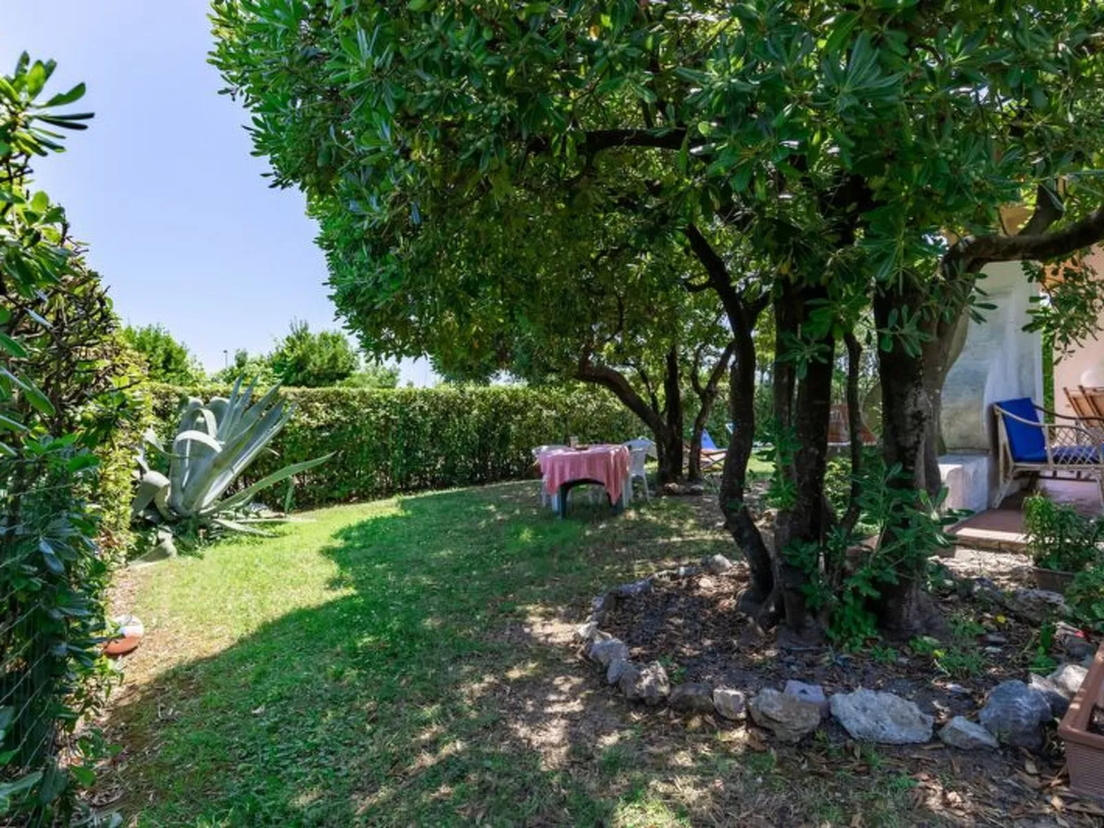 Villa Il Pesco - Dehors