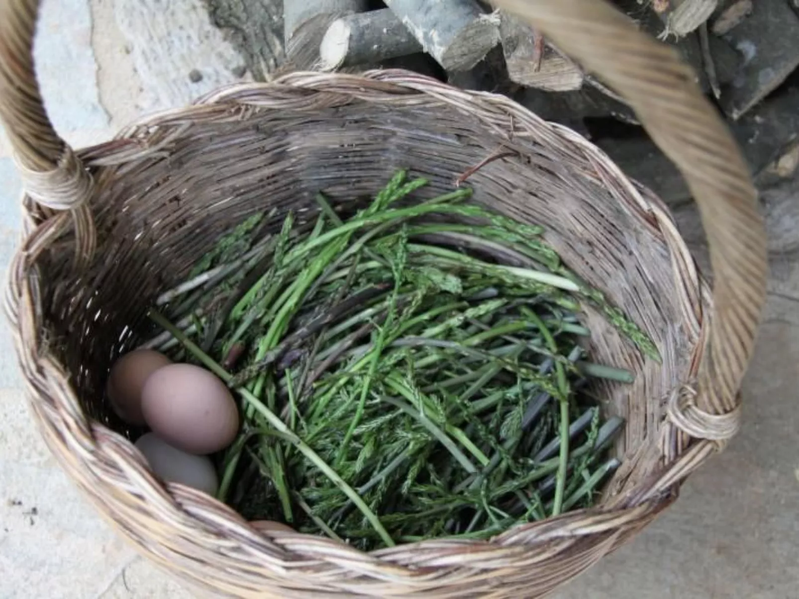 Landgut mit Blick auf das Wasser - Inside
