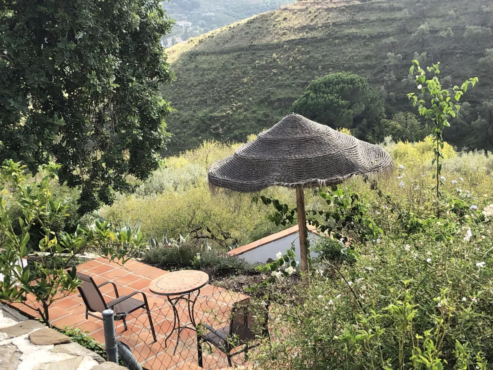 Finca "La Estrella de Cómpeta". - Dehors