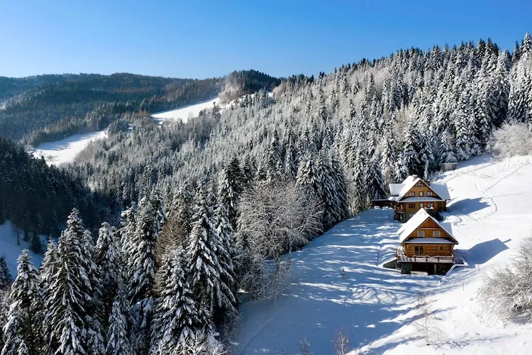 Dom wakacyjny dla 8 osób w Piwnicznej Zdroju - Außenbereich Winter