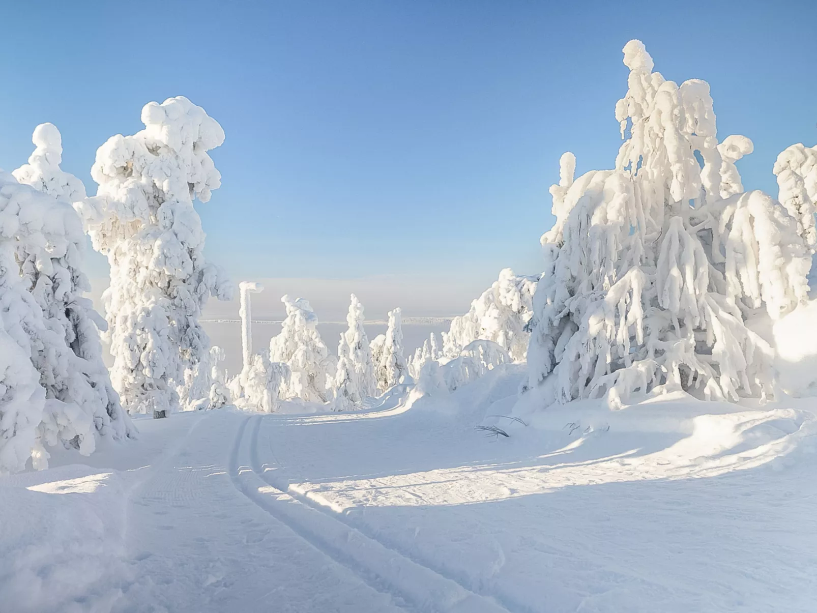 Loma-saaga 3 - Dedans