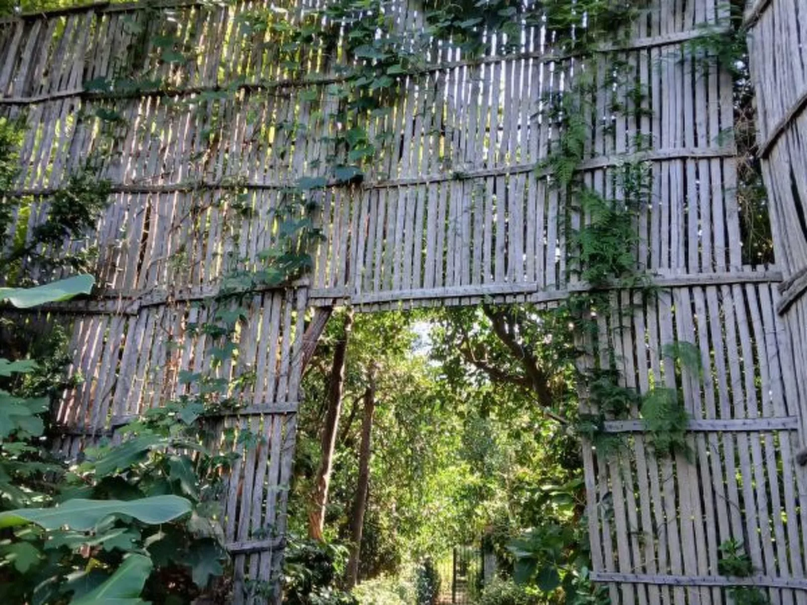 La Veranda di Villa Preziosa al Pizzo - Image-tags.info