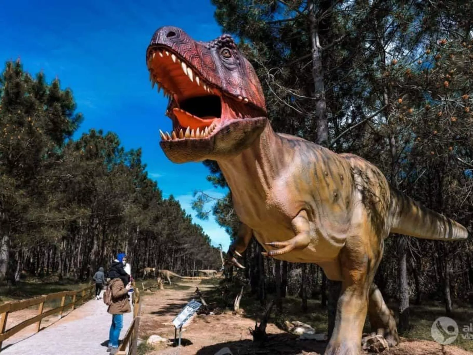 Haus Menezes - Dehors