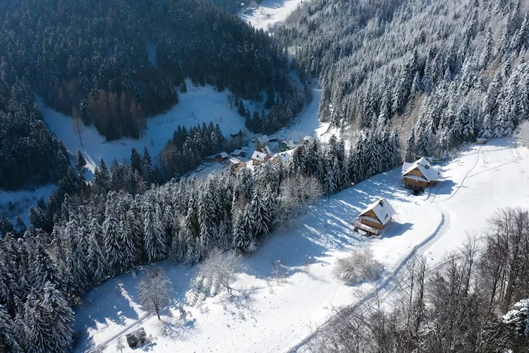 Dom wakacyjny dla 8 osób w Piwnicznej Zdroju - Außenbereich Winter