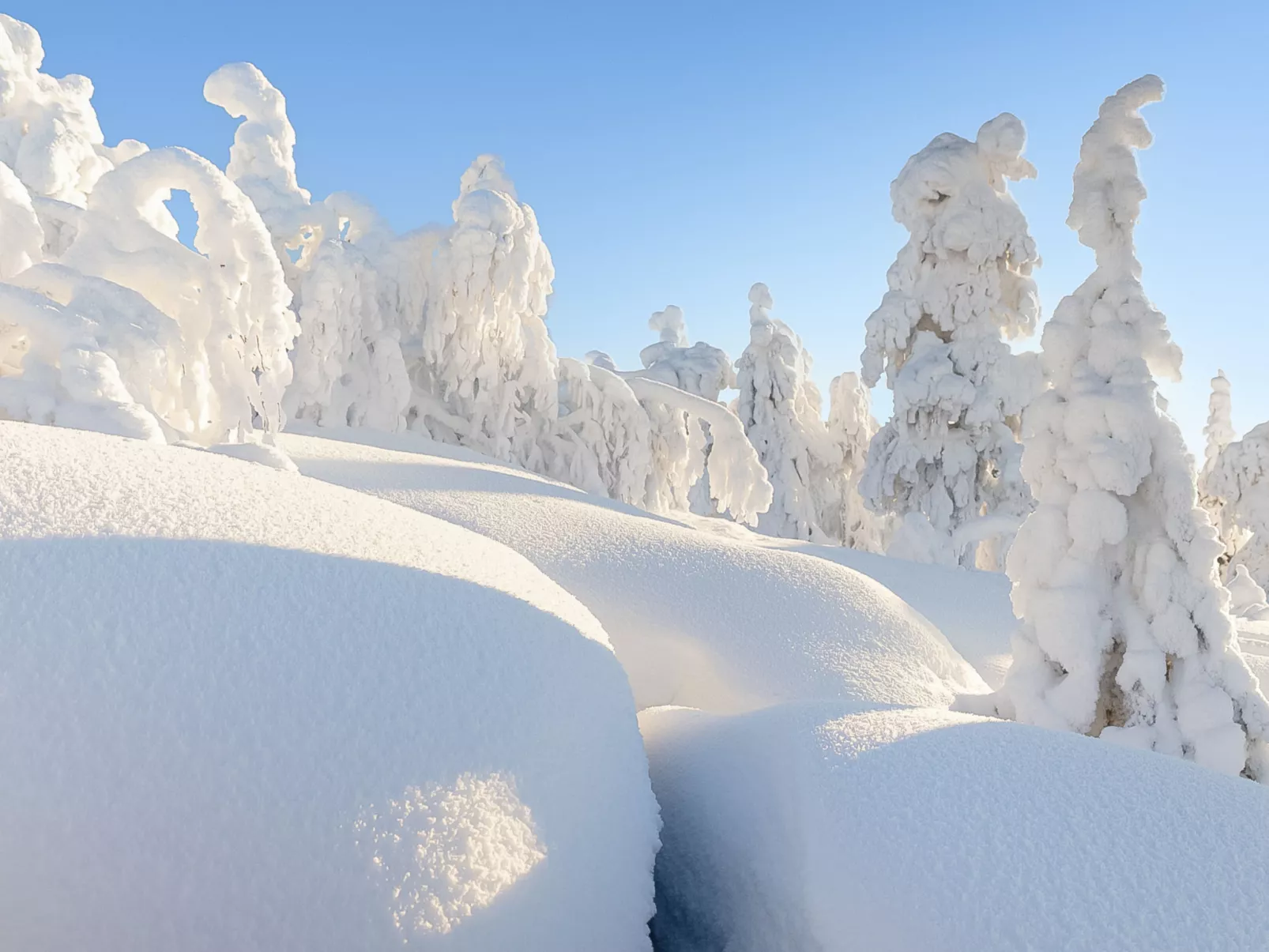 Loma-saaga 3 - Dedans