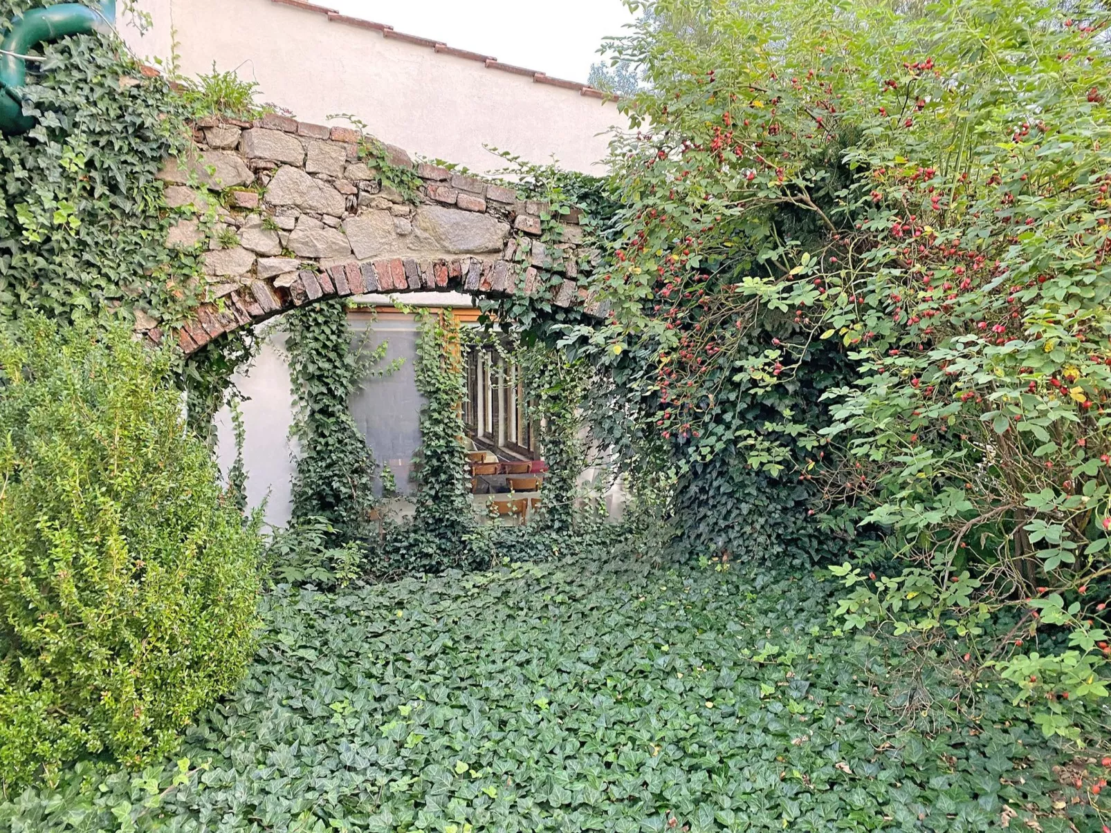 EL MOLINO - Image-tags.info