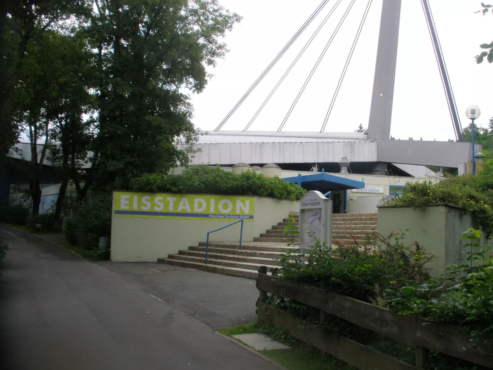 Tanne - Image-tags.info