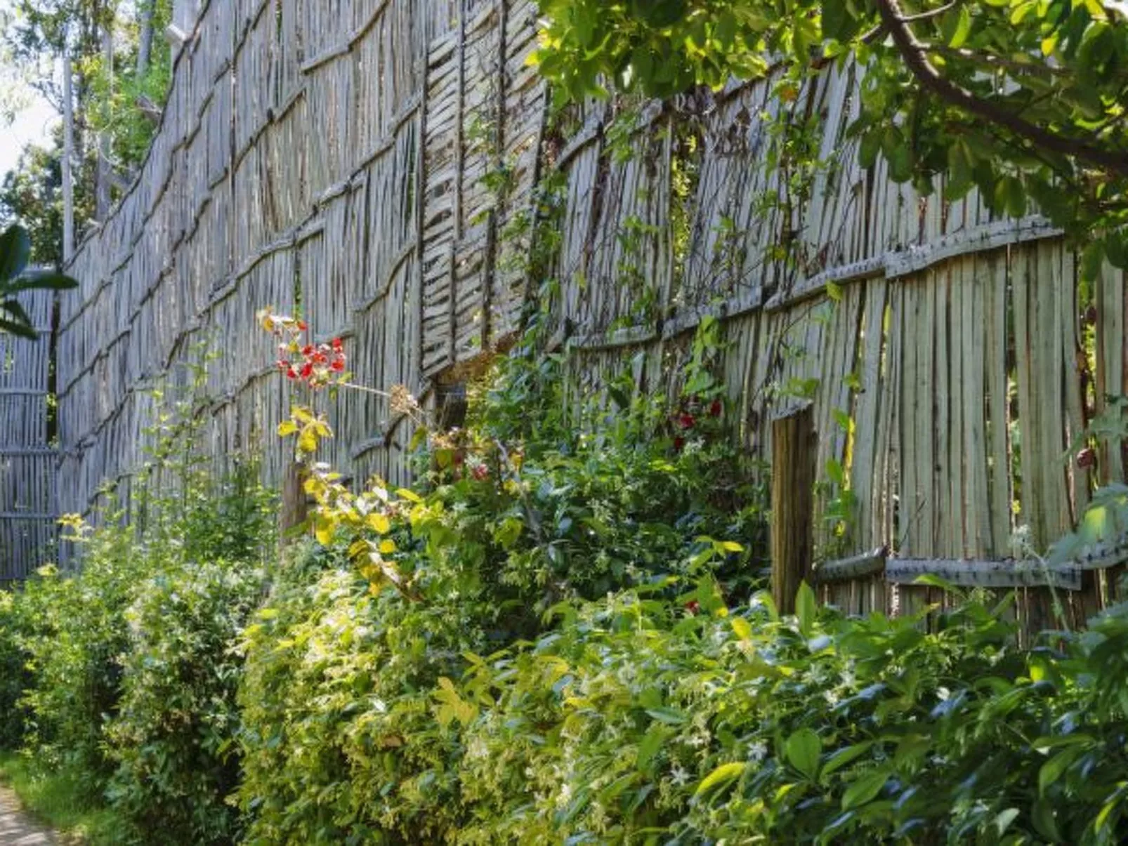 La Veranda di Villa Preziosa al Pizzo - Image-tags.info