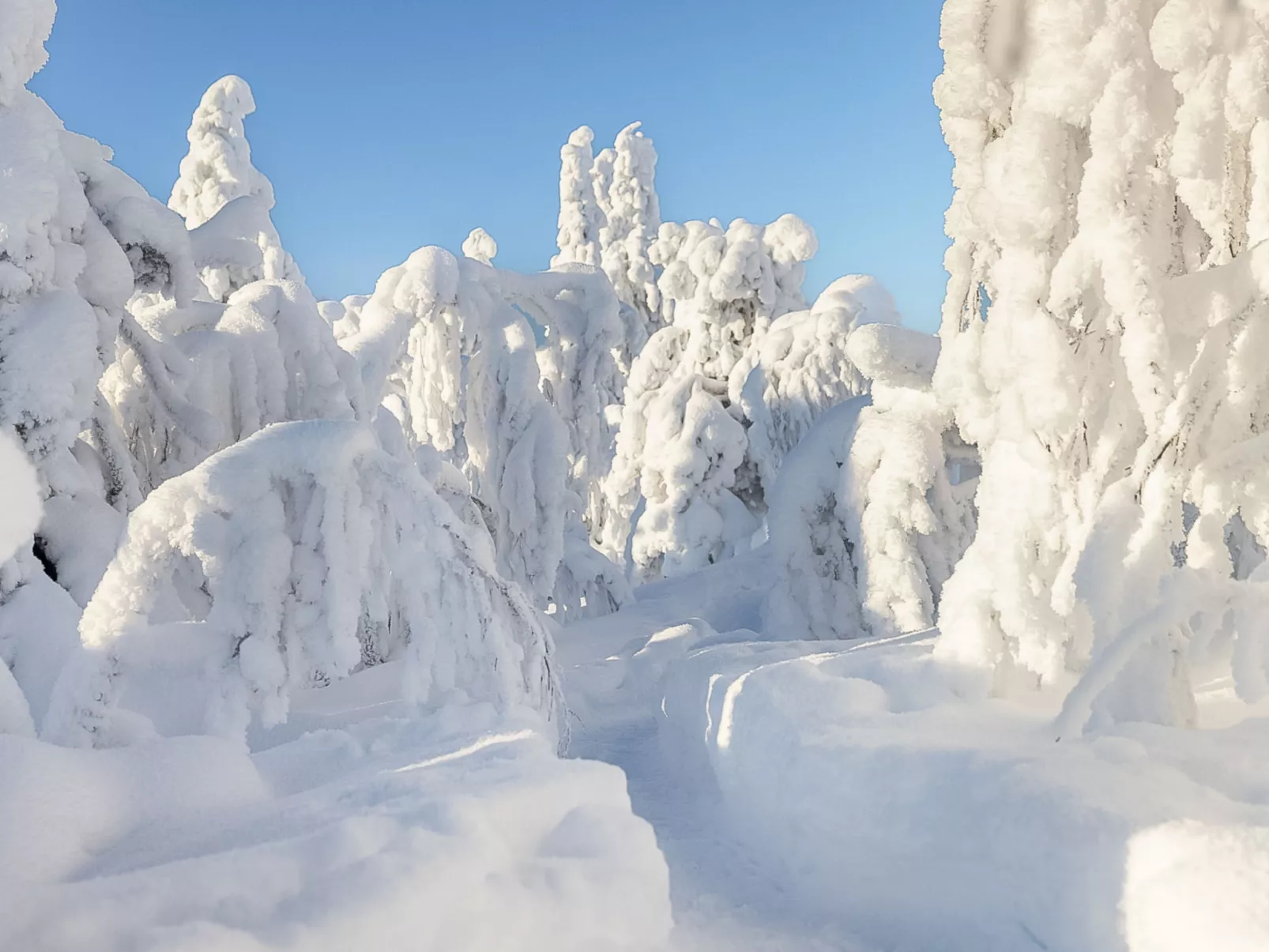 Loma-saaga 3 - Dedans