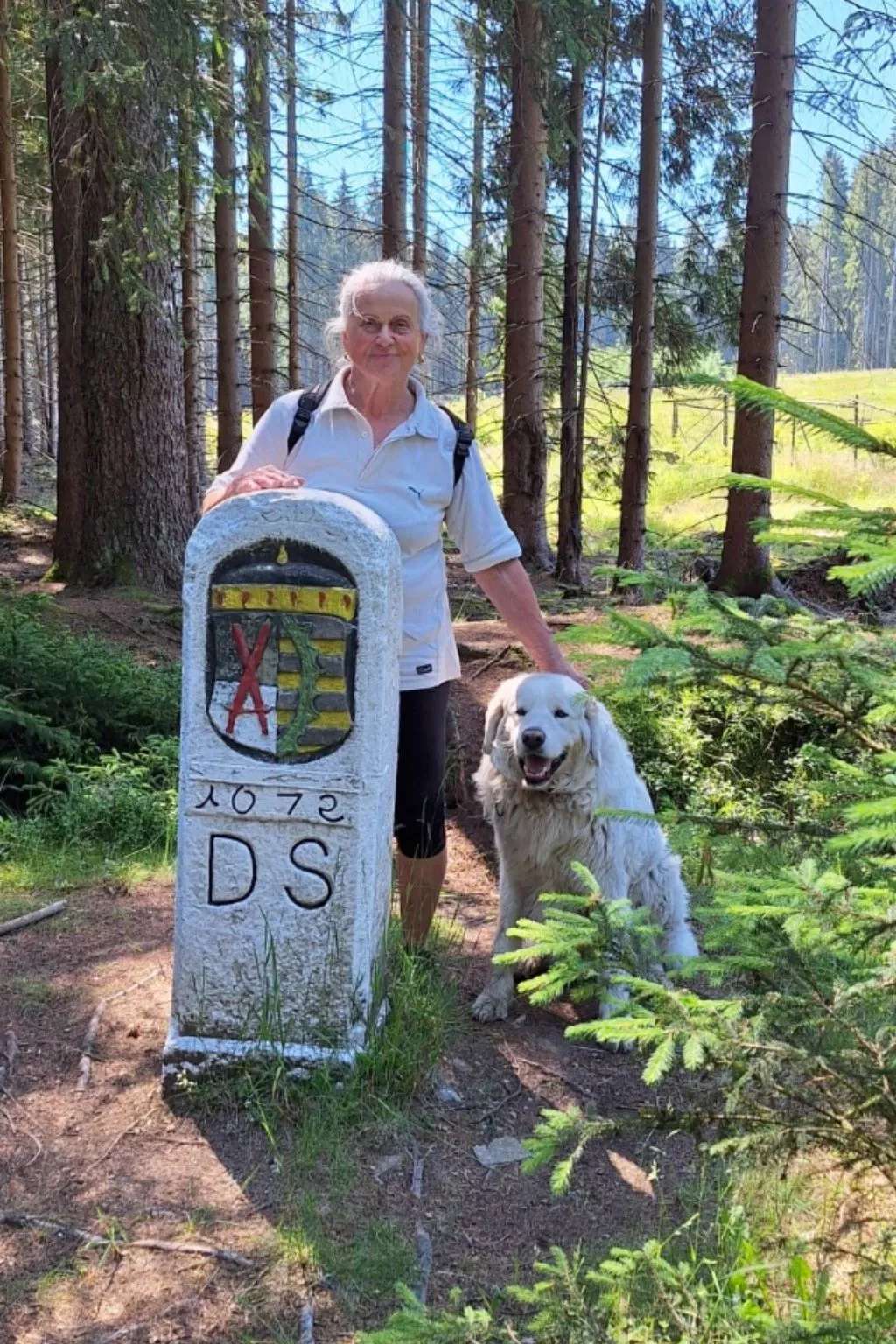 Gästezimmer mit Blick auf die Berge - Draußen