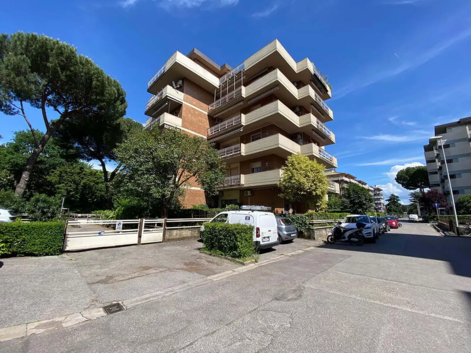 Suite Vogel - Image-tags.info