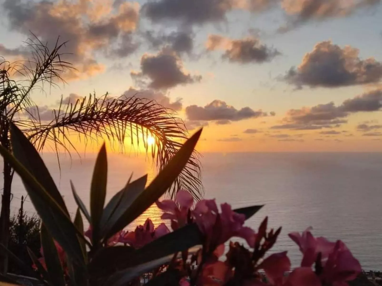 Villa Panorama Wohnung in privater Villa - Dehors