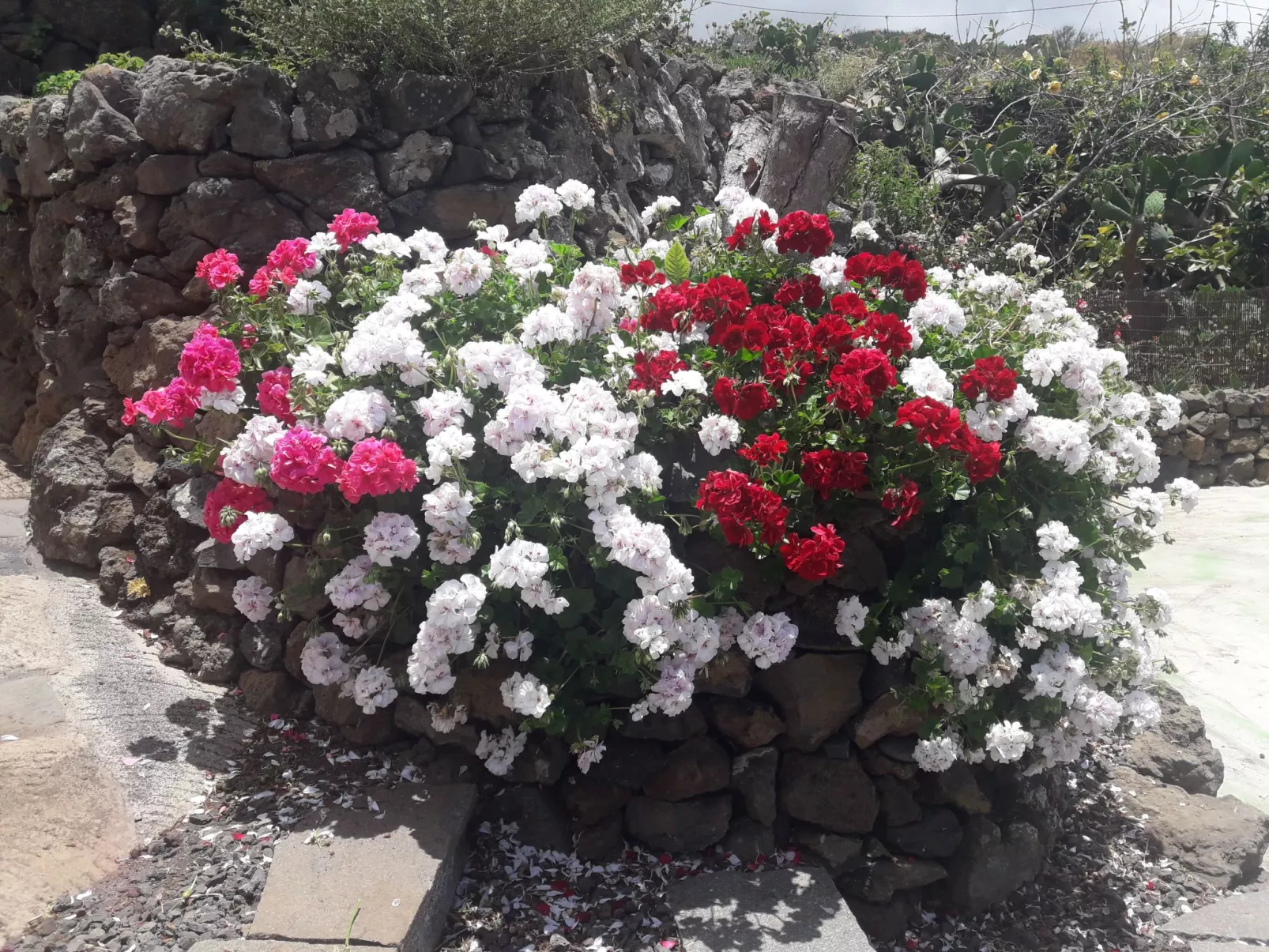 "Casa El Vallito" schönes Steinhaus - Dehors