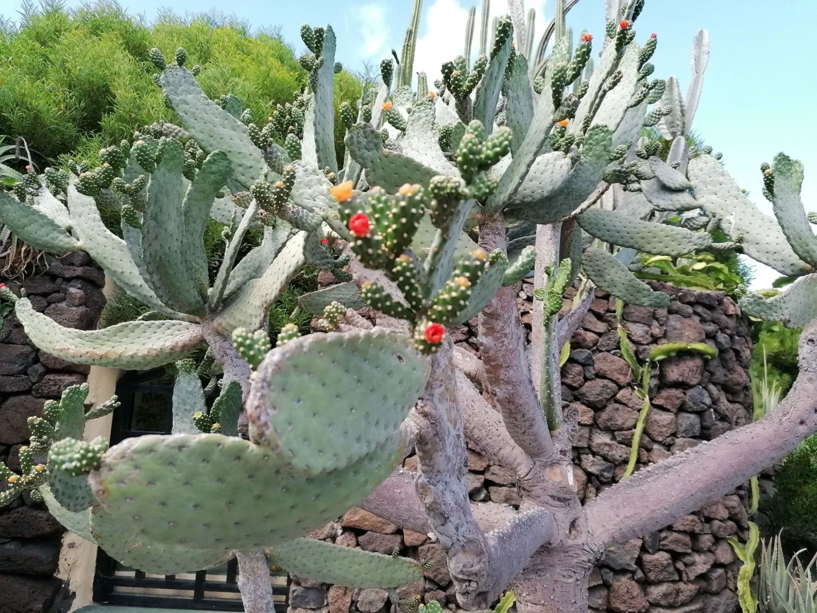 Mit Whirlpool - Draußen