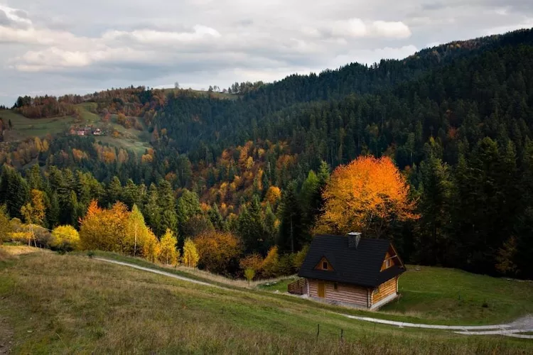 Dom wakacyjny dla 8 osób w Piwnicznej Zdroju - Außenbereich Sommer