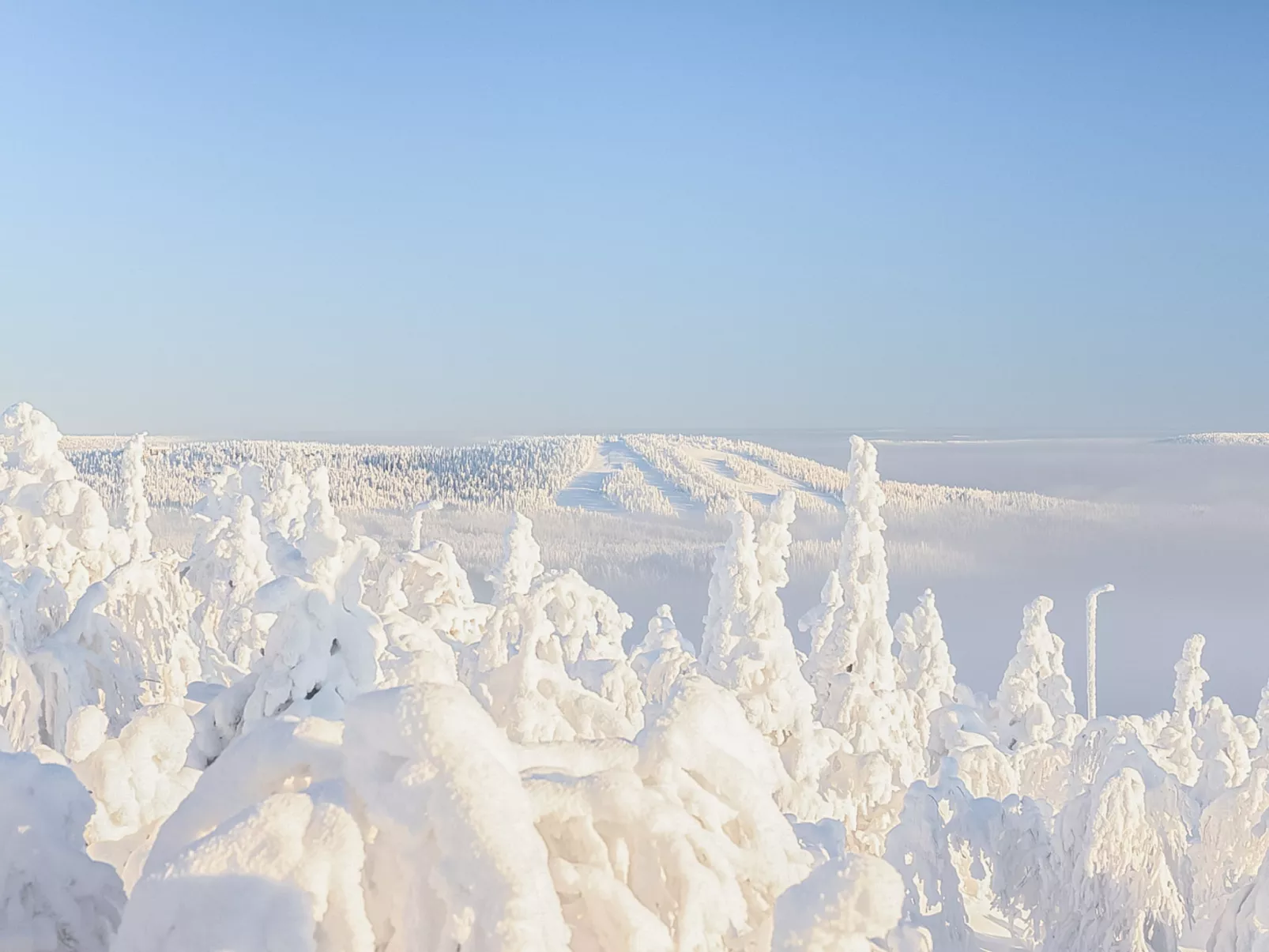 Loma-saaga 3 - Dedans