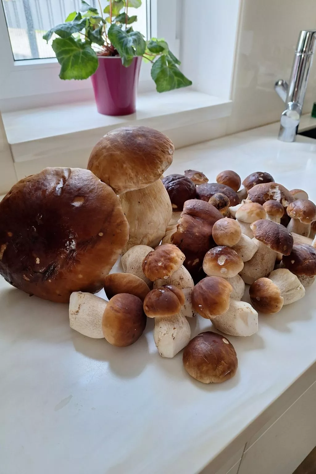 Gästezimmer mit Blick auf die Berge - Draußen
