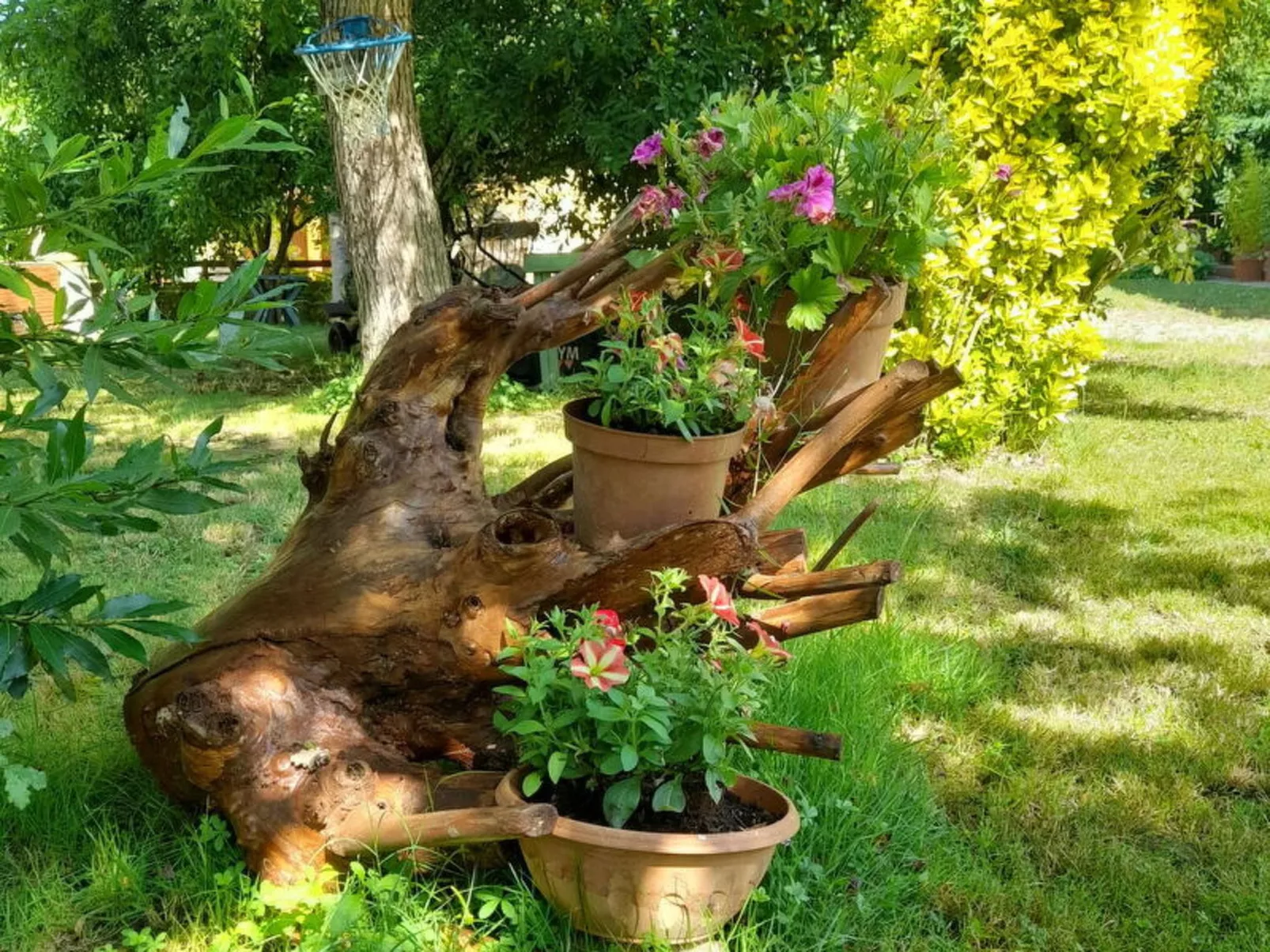 Podere Vallino - Dehors