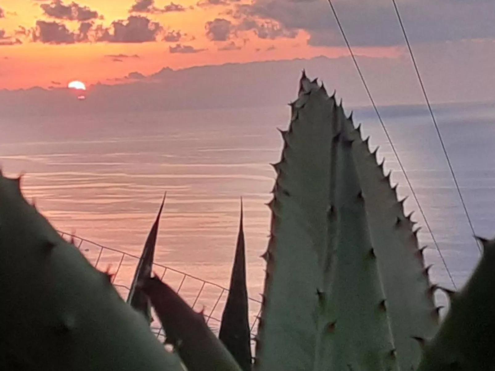 Villa Panorama Wohnung in privater Villa - Dehors