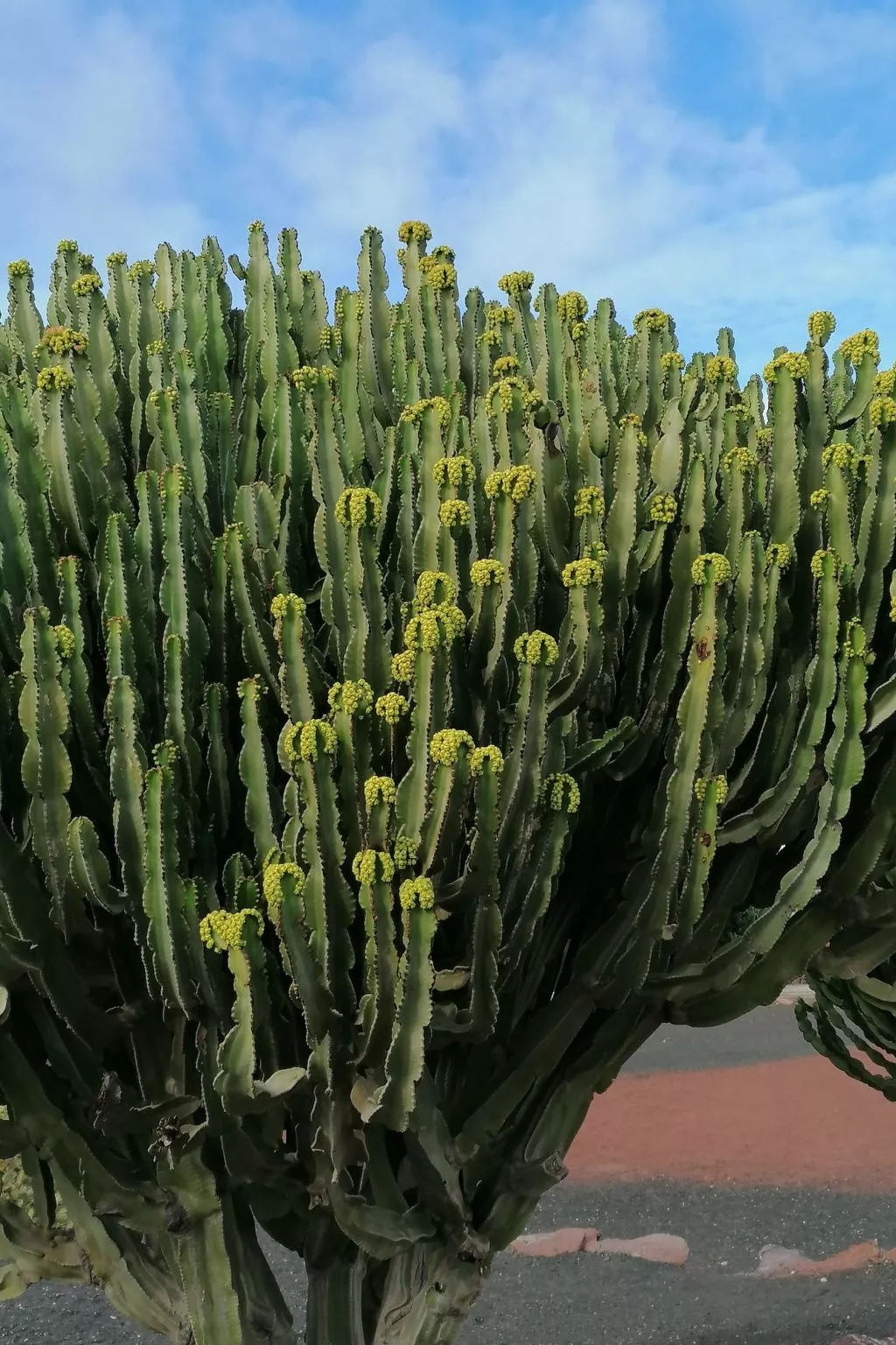 Mit Whirlpool - Draußen