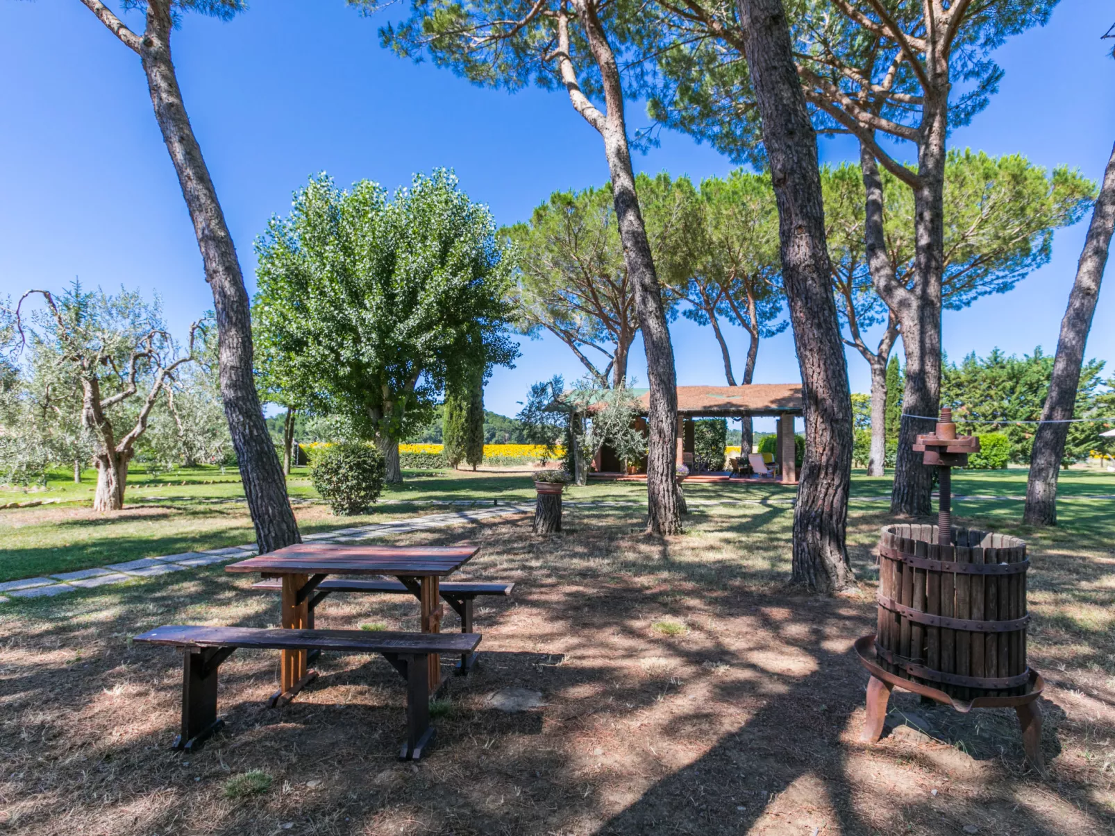 Rossogiallo - Dehors