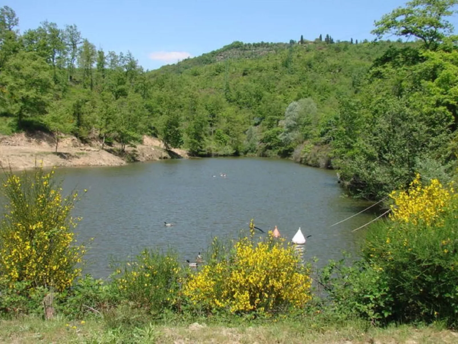 Le Corniole mit Pool, Jacuzzi und Grill - Image-tags.info