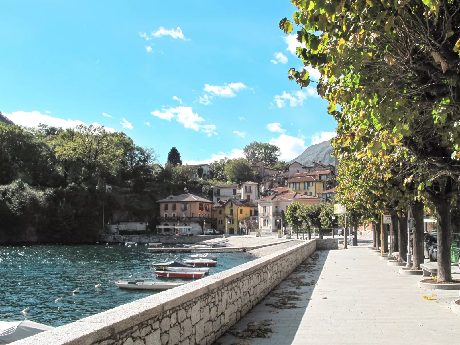 Le Radici - Environnement