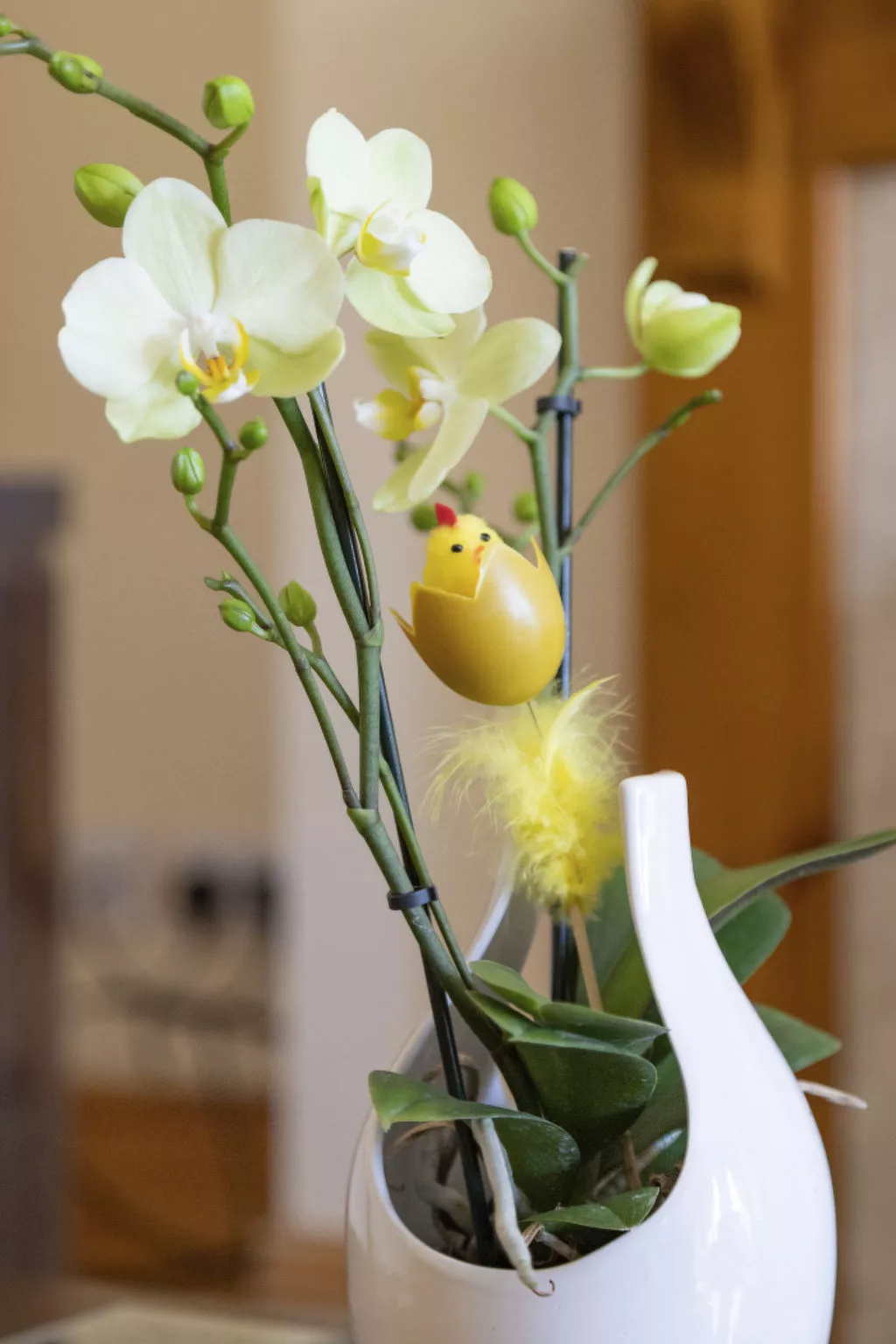 Mit eigenem Garten - Image-tags.info