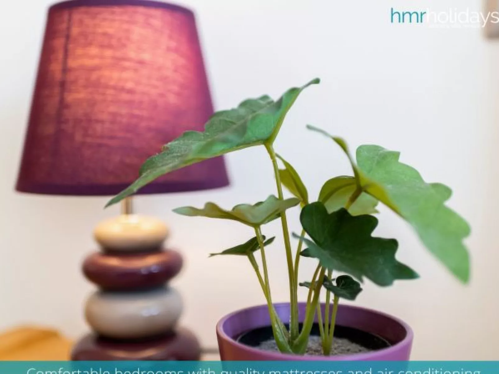 Villa La Colina - Inside