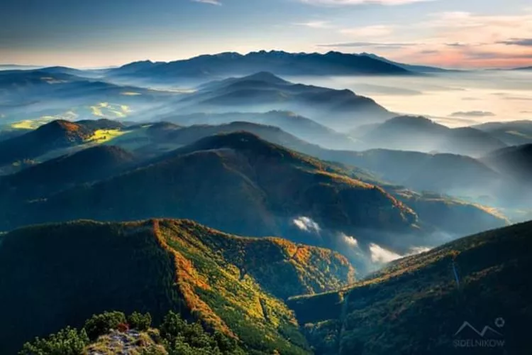 Dom wakacyjny dla 8 osób w Piwnicznej Zdroju - Gebiete Sommer 1 km