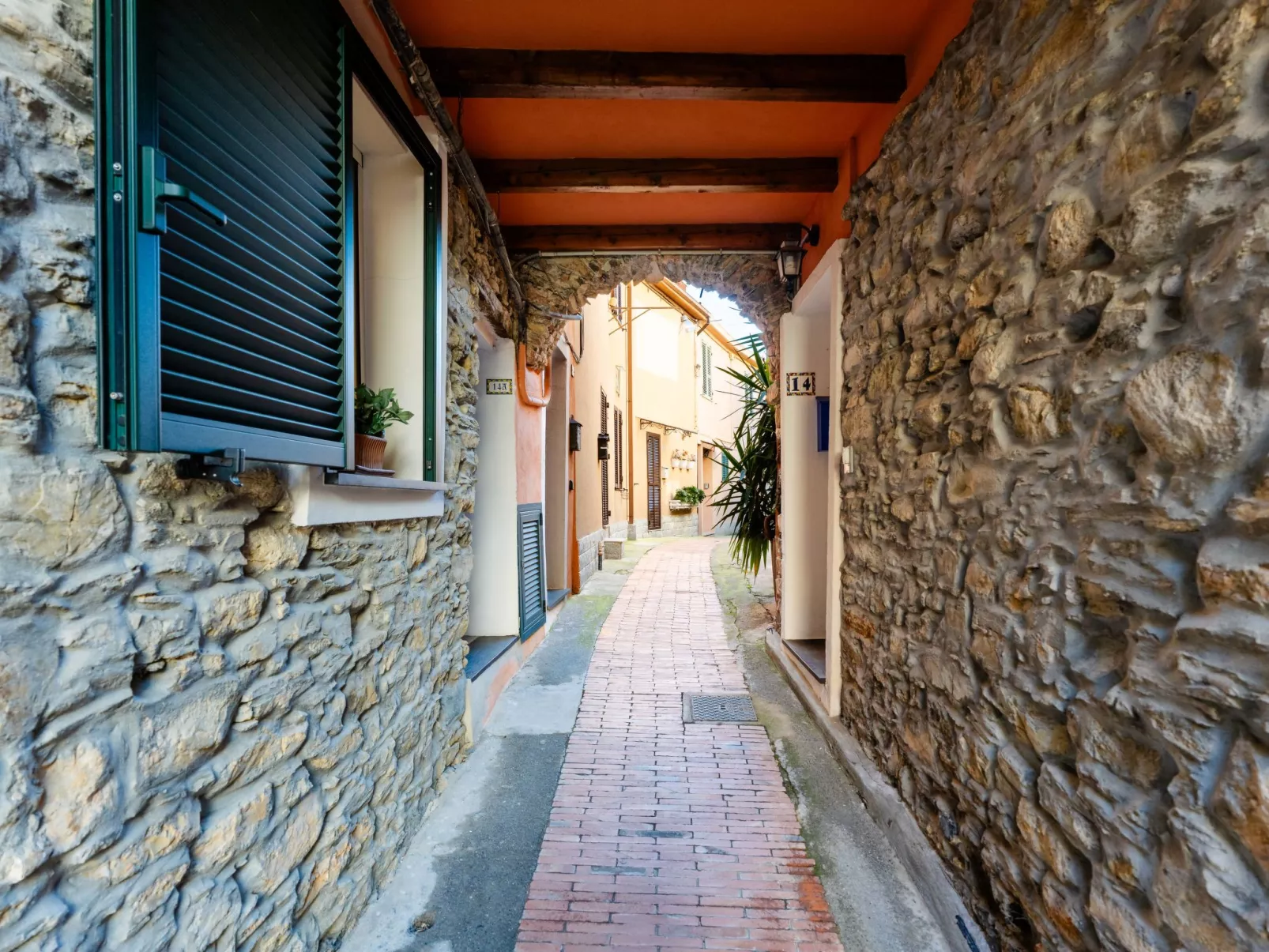 Terrazza con glicine - Dehors