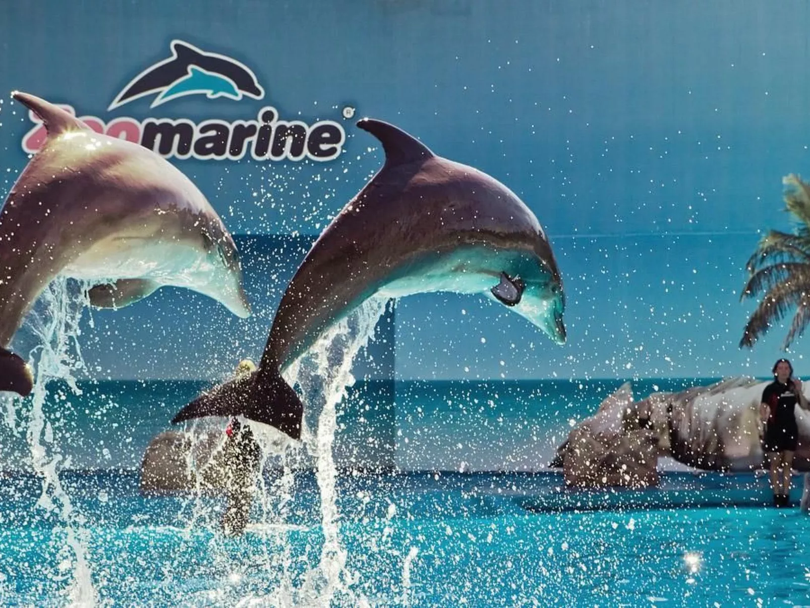 Große Wohnung in Carvoeiro mit Möblierter Terrasse - Dehors