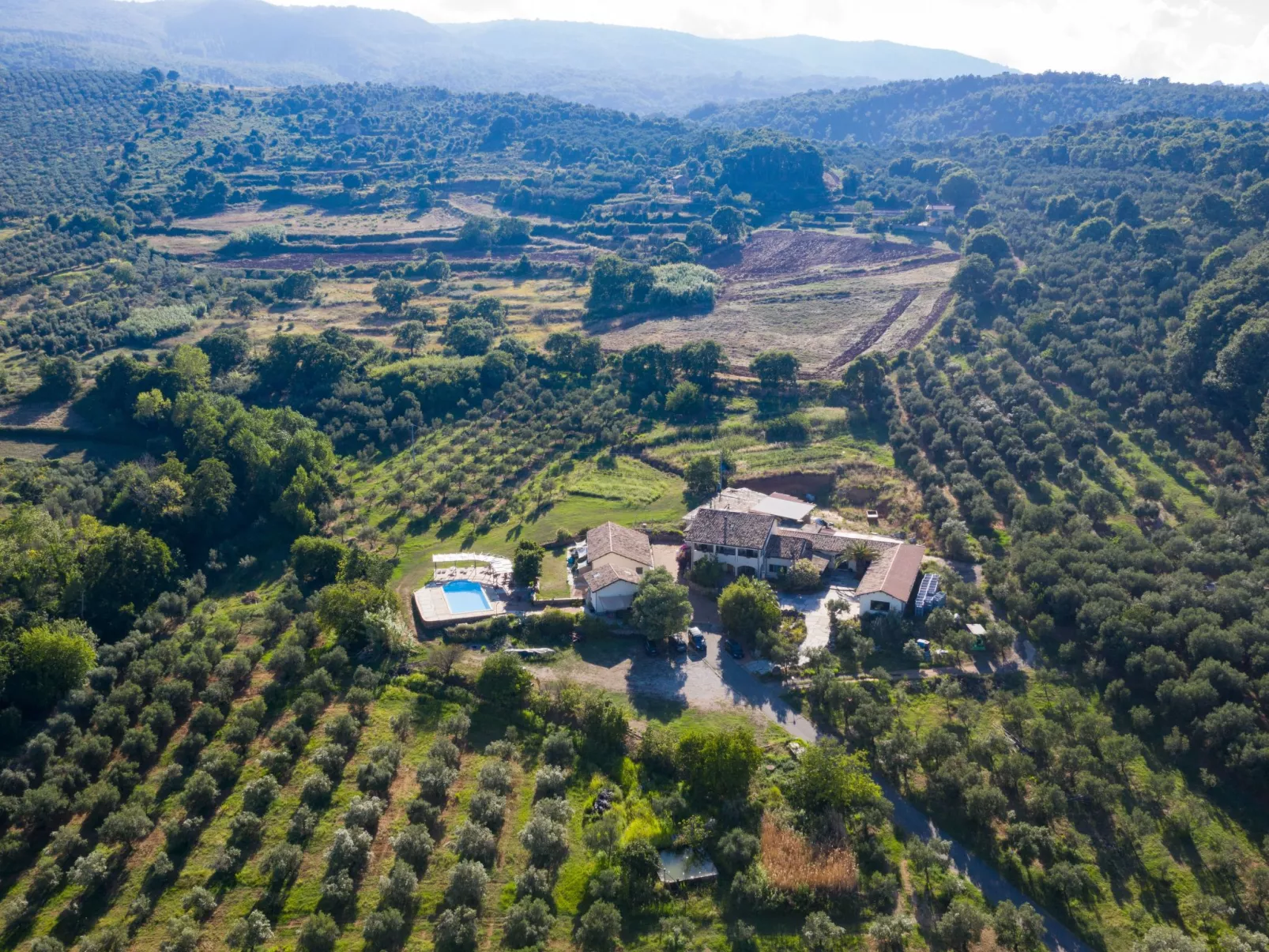 Tolles Reihenhaus im Olivenhain - Draußen