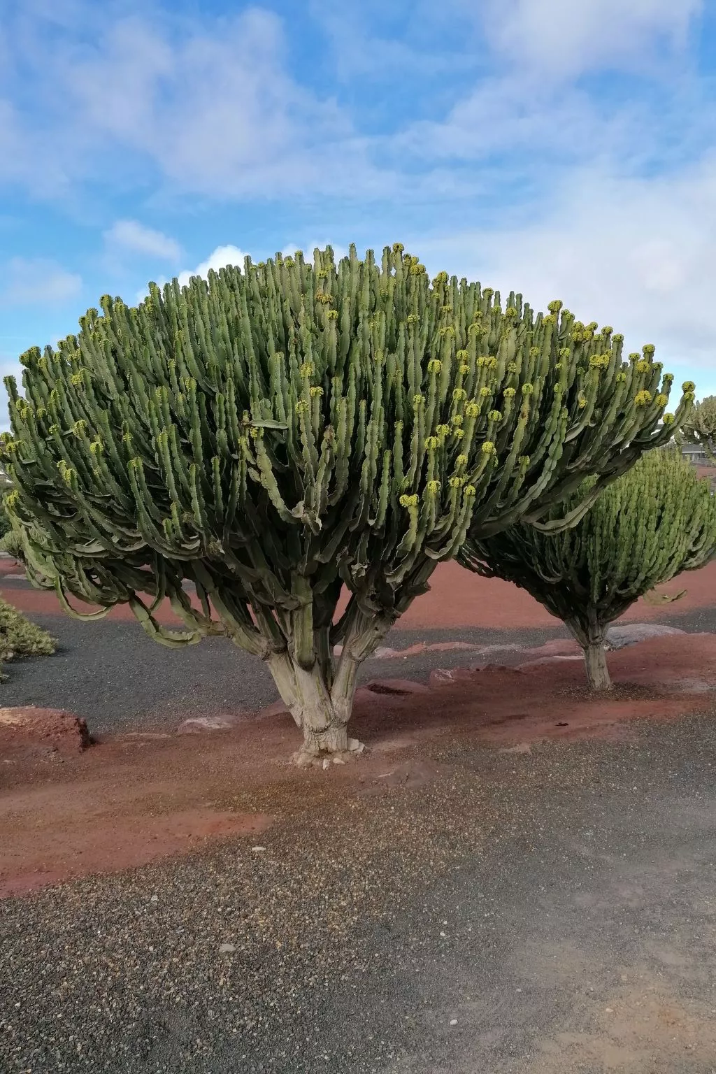 Mit Whirlpool - Draußen
