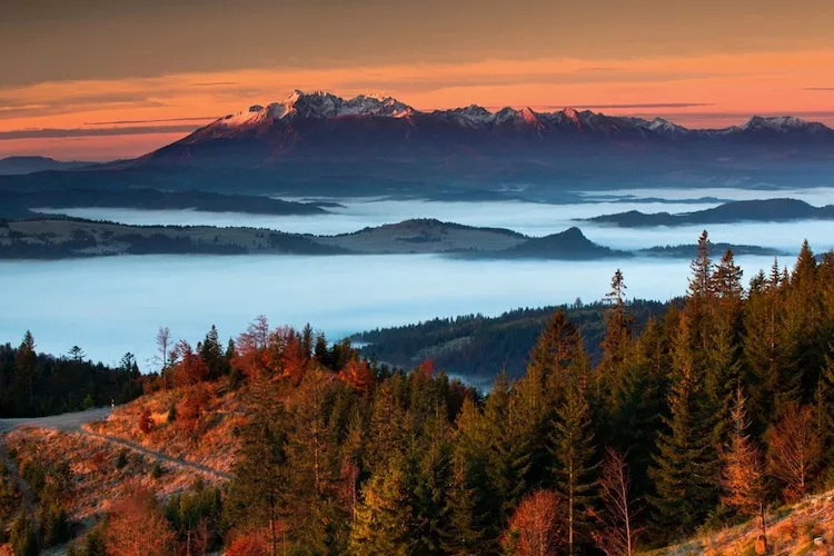Dom wakacyjny dla 8 osób w Piwnicznej Zdroju - Aussicht Sommer