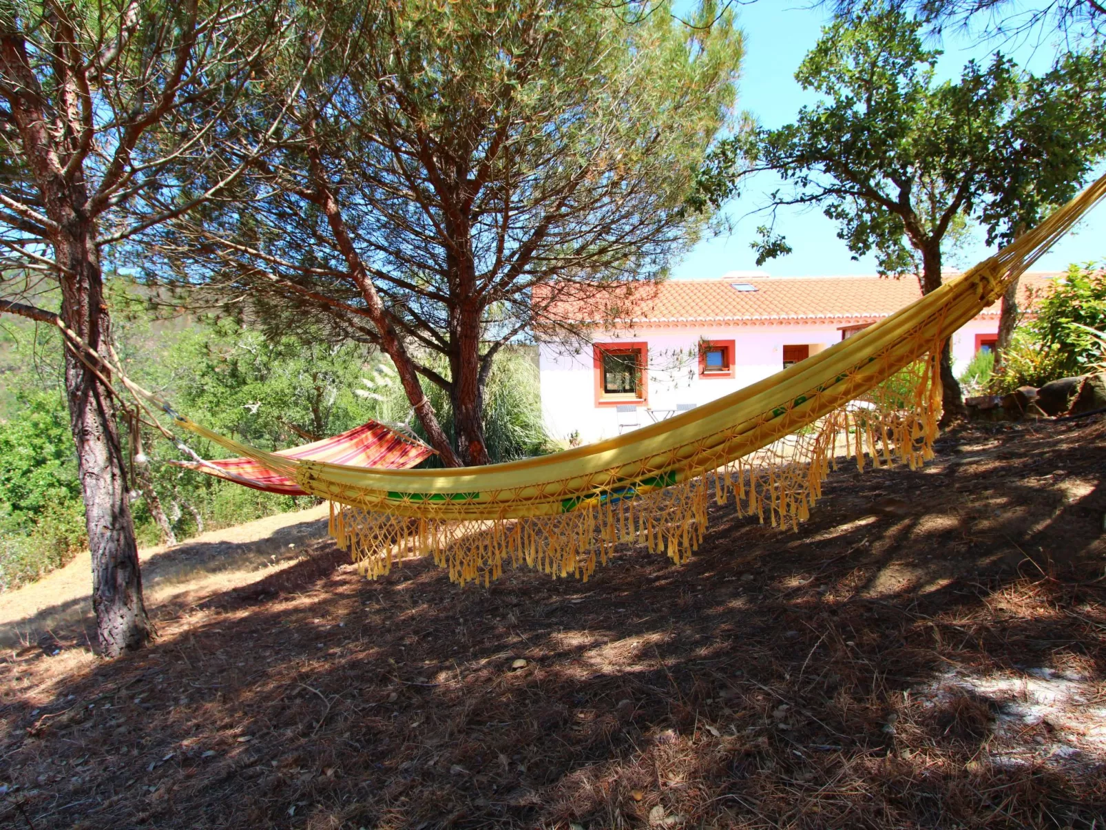 "The Natural Elements" - Outside