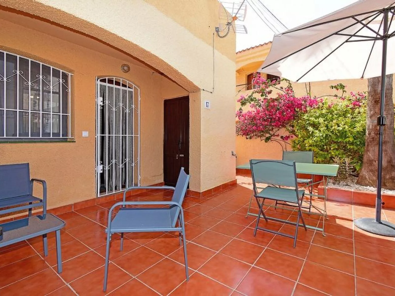 Violeta 17 - Image-tags.info