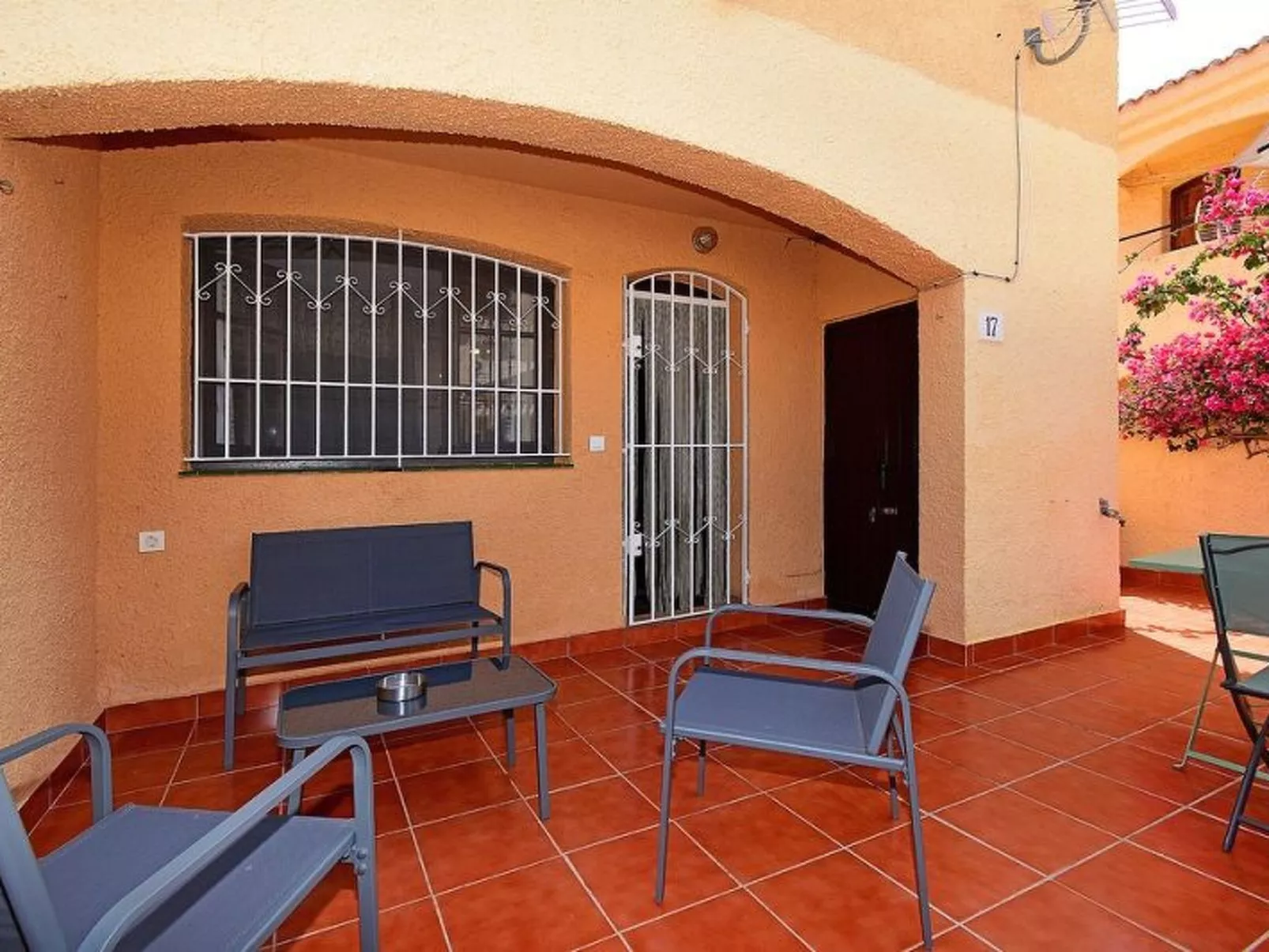 Violeta 17 - Image-tags.info