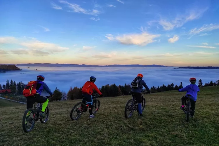 Dom wakacyjny dla 8 osób w Piwnicznej Zdroju - Gebiete Sommer 1 km