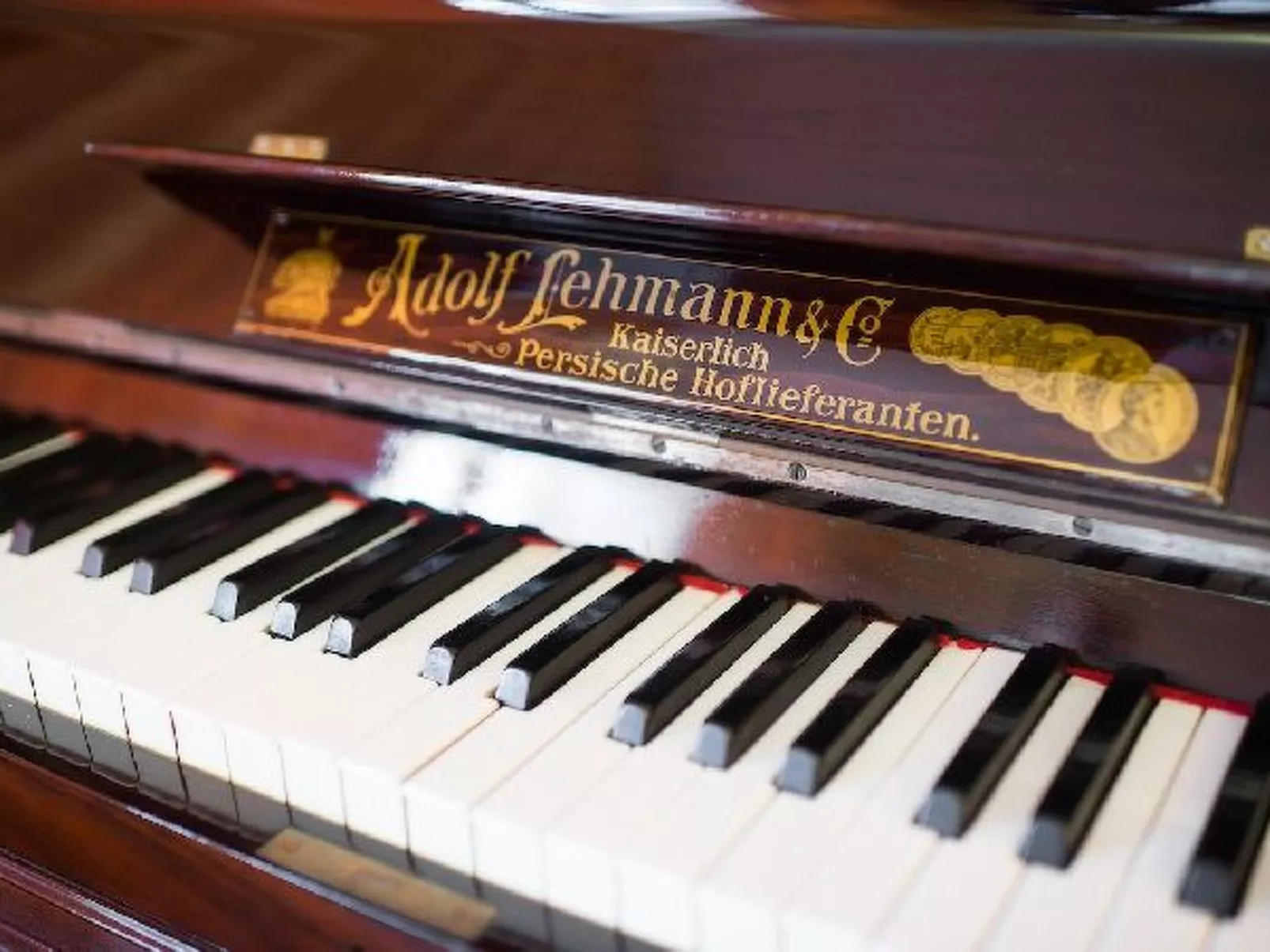 Villa le Olivine Less then 5 min to Sorrento - Image-tags.info