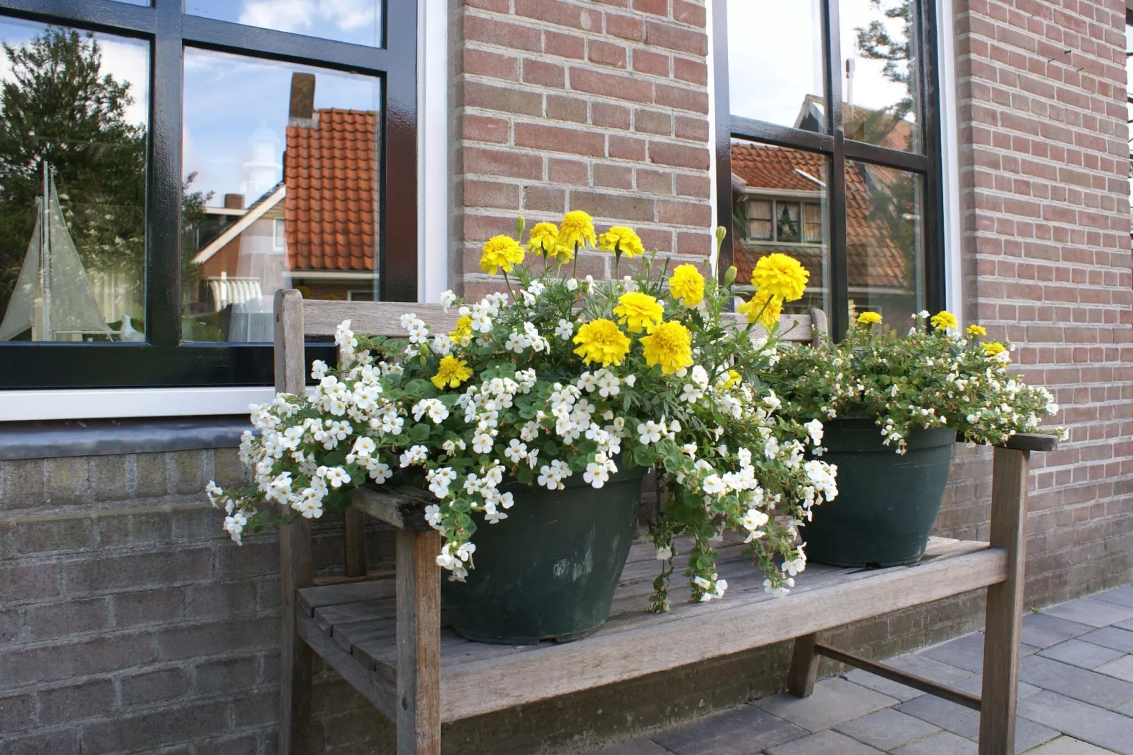 Wad'n Leven en Geluk-Atmosphere