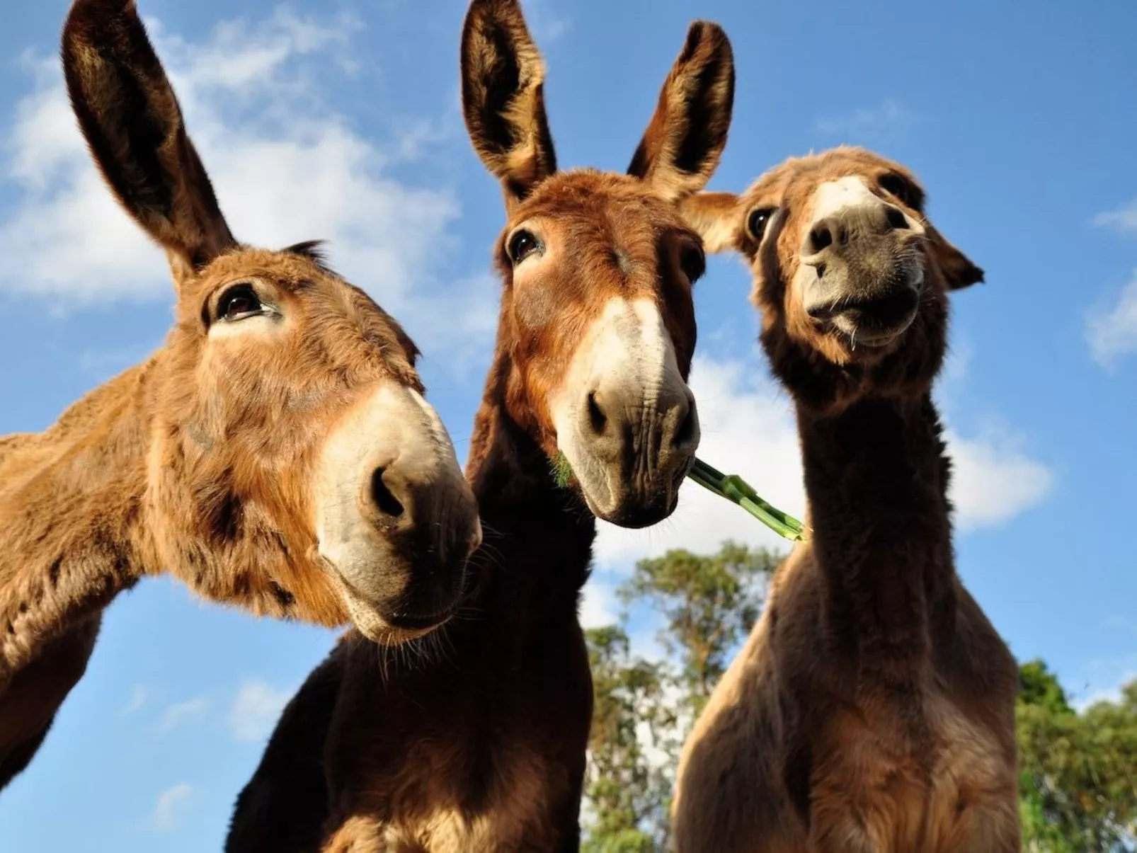 "The Natural Elements" - Outside