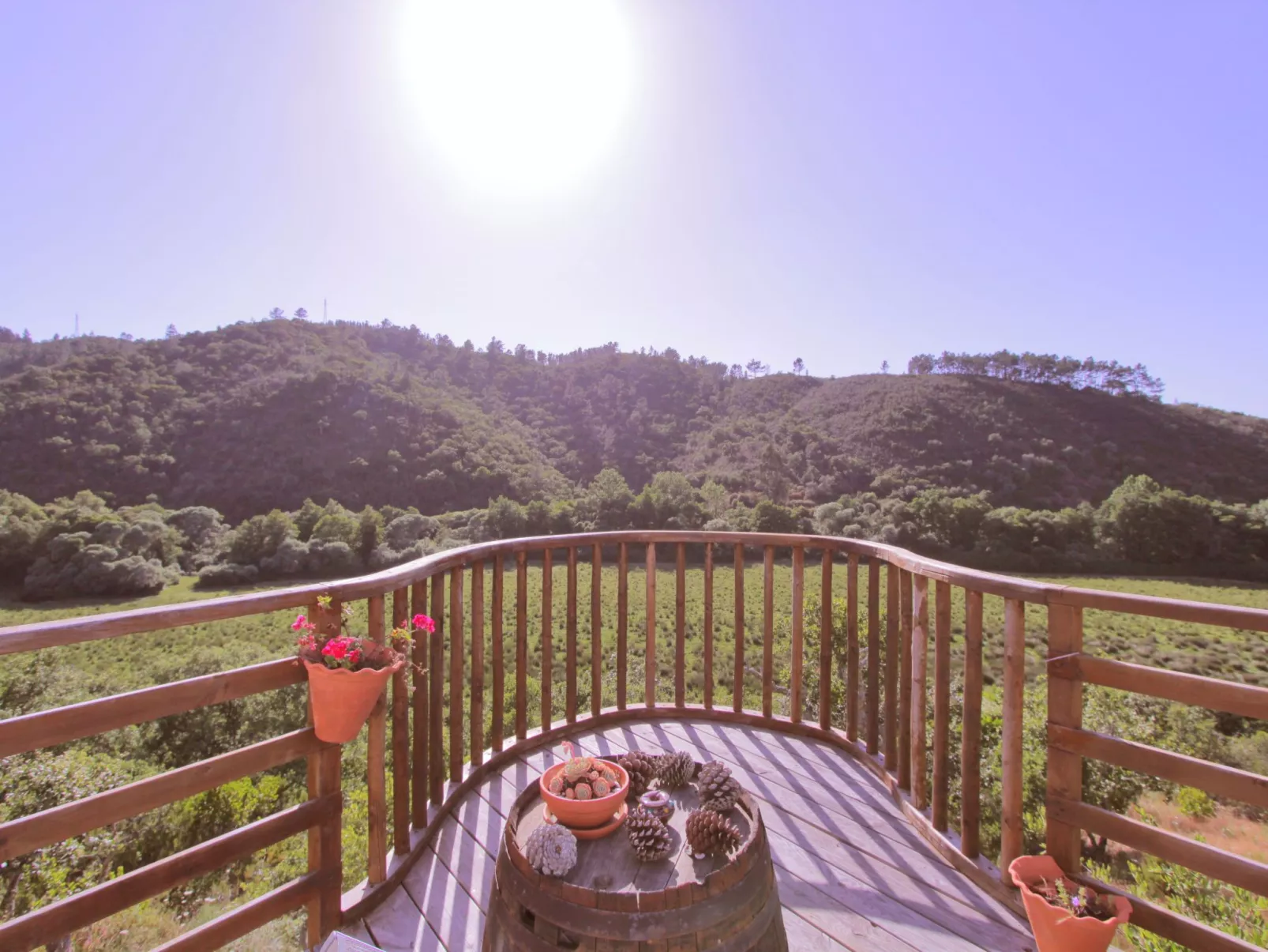 "The Natural Elements" - Outside