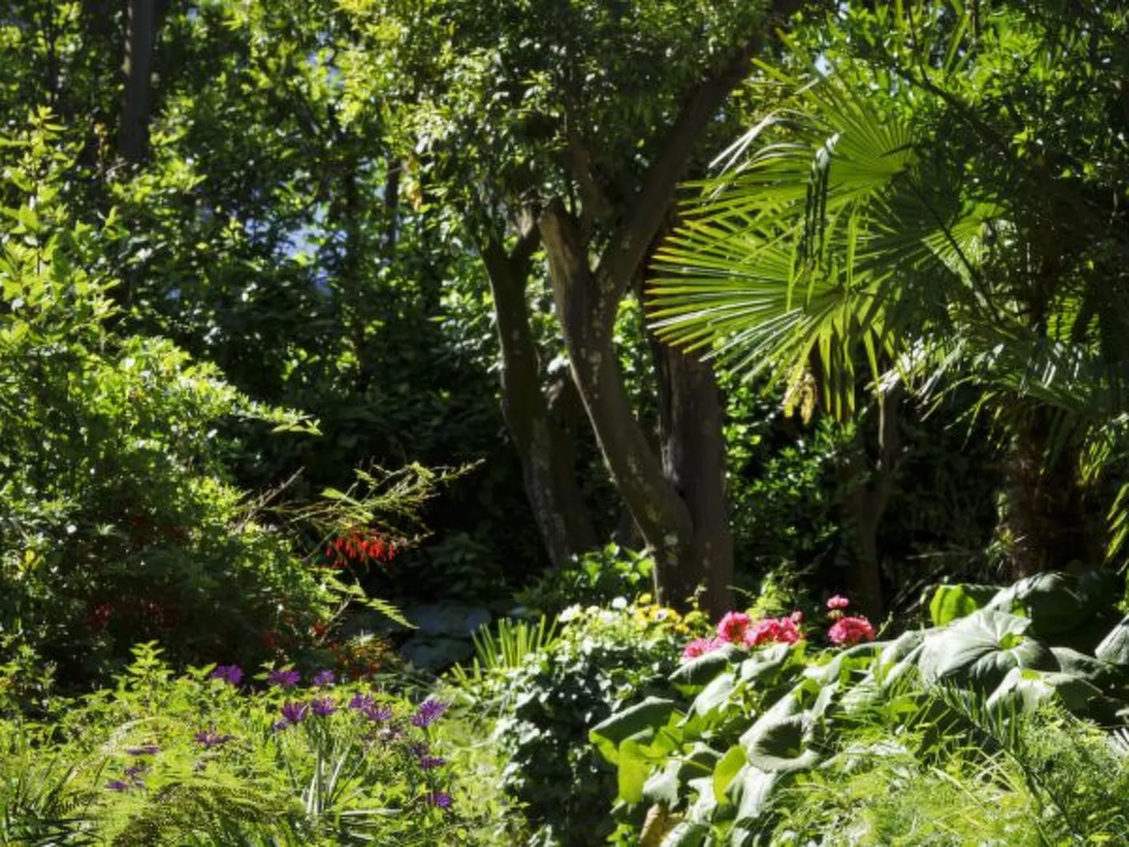 Il terrazzino di Villa Preziosa al Pizzo - Image-tags.info