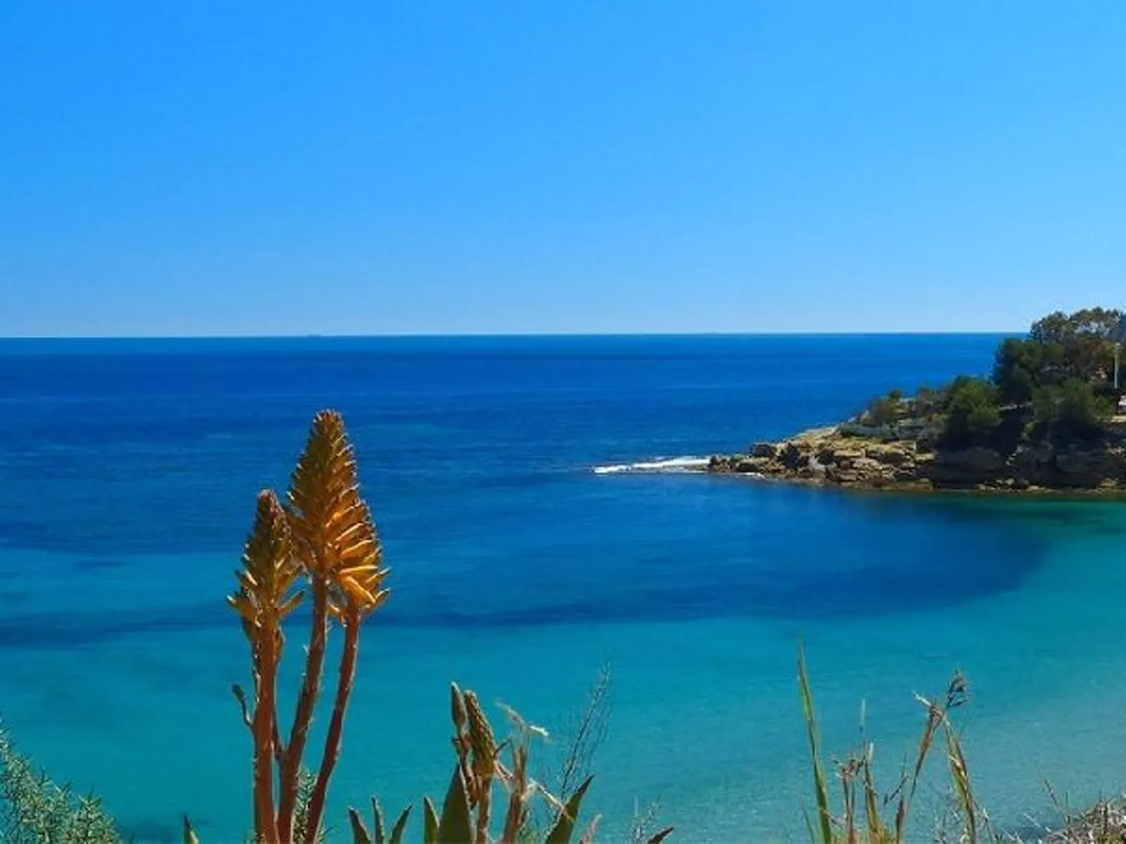 Villa Caleta - PlusHolidays - Image-tags.info